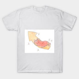 Cat lies on the pointer. Arrow up. Motivation. Achievement of the goal. Planning. Watercolor illustration humorous. Humor, fun design modern T-Shirt